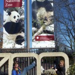 The kids at the zoo